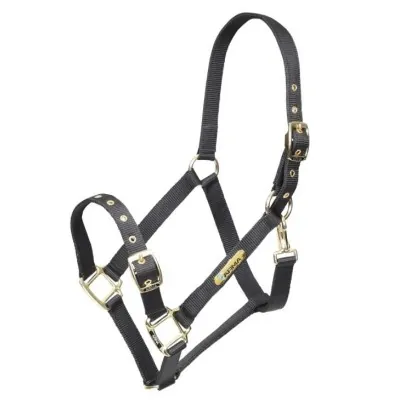 ARMA Adjustable Halter | Durability and Style