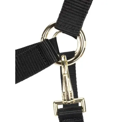 ARMA Reguleeritavad Päitsed | Vastupidavus ja Stiil