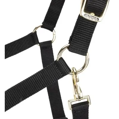 ARMA Reguleeritavad Päitsed | Vastupidavus ja Stiil