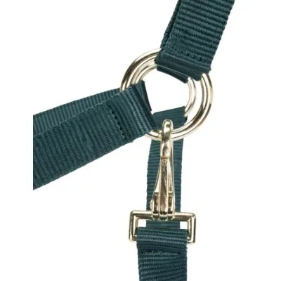 ARMA Reguleeritavad Päitsed | Vastupidavus ja Stiil