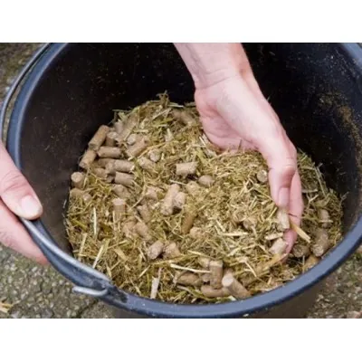 PAVO DailyPlus koresöödasegu 12kg | Healthy Chewing Mix