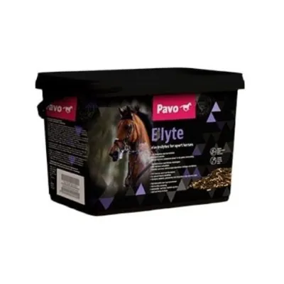 PAVO E'lyte Elektrolüüdid 3kg: Taasta soolad ja energia
