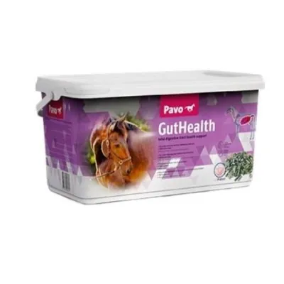 PAVO GutHealth soolestikule 7.5kg | Tugi hobuse seedimisele