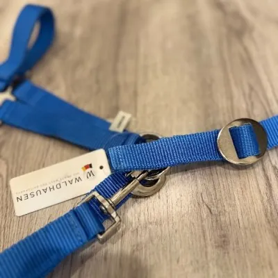 Waldhausen päitsed Pony