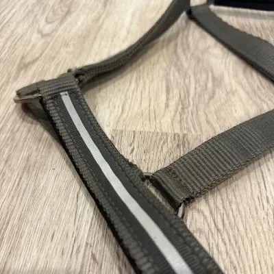 Waldhausen päitsed Full