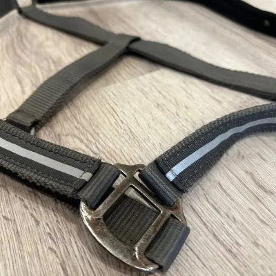 Waldhausen päitsed Full