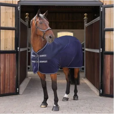 SHIRES Tempest Original All-Season Air Motion Cooler