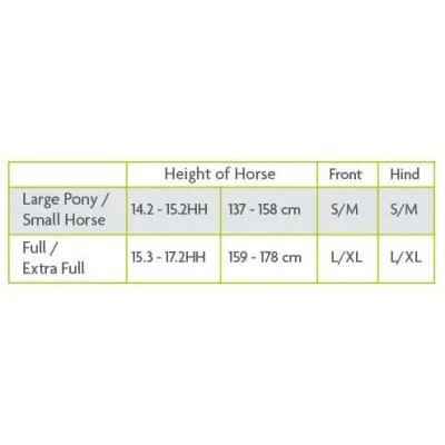 WOOF WEAR PRO fetlock tagajalakaitsmed – Noorhobustele