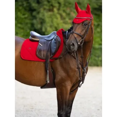 Stiilne Velvet Hüppevaltrap | MAXIMILIAN EQUESTRIAN
