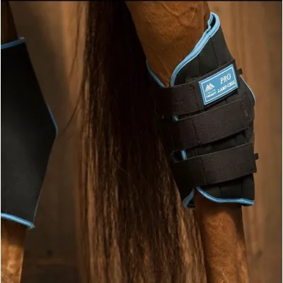 LAMI-CELL Pro Ice jahutavad kaitsmed | 40-min teraapia