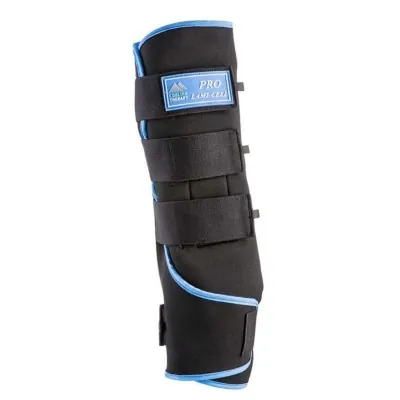 LAMI-CELL Pro Ice jahutavad kaitsmed | 40-min teraapia