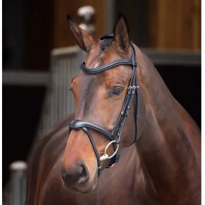 SHIRES Velociti Lusso Elite Flash valjad | Ergonoomiline Luksus