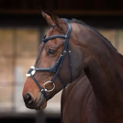 SHIRES Velociti Lusso Elite Grackle valjad | Luksuslik mugavus