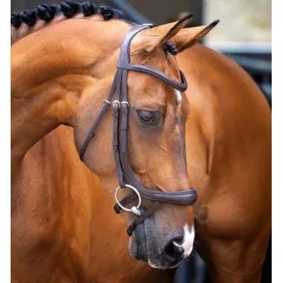 SHIRES Velociti Lusso Ergonomic Curved Flash valjad