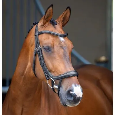 SHIRES Velociti Lusso Ergonomic Curved Flash Bridle