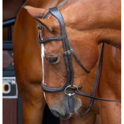 SHIRES Velociti RAPIDA Ergonomic Cavesson valjad | Mugavus