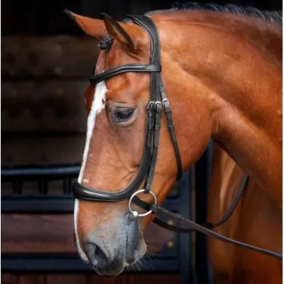 SHIRES Velociti RAPIDA Ergonomic Cavesson Bridle | Comfort