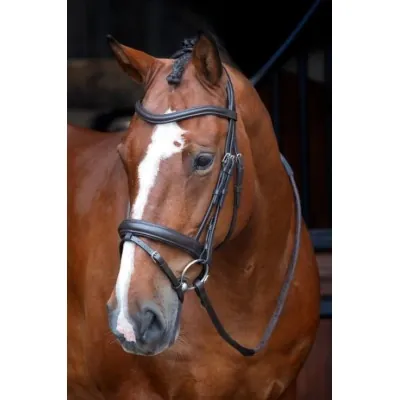 SHIRES Velociti RAPIDA Dressage Bridle | European Leather