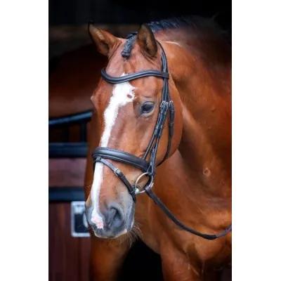 SHIRES Velociti RAPIDA koolisõduvaljad | Mugavus ja Stiil