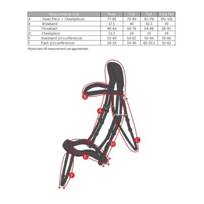 SHIRES Velociti RAPIDA ergonoomilised suuliserihmaga valjad