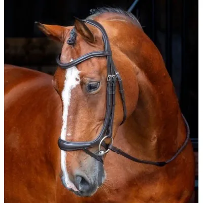 SHIRES Velociti RAPIDA ergonoomilised suuliserihmaga valjad