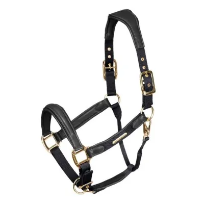 SHIRES Velociti Lusso Padded Halter | Anatomical Comfort