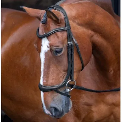 SHIRES Velociti RAPIDA Ergonomic Flash Bridle | With Reins