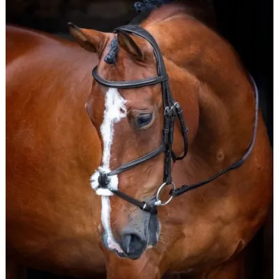 SHIRES Velociti RAPIDA Mexican Grackle Bridle | With Reins