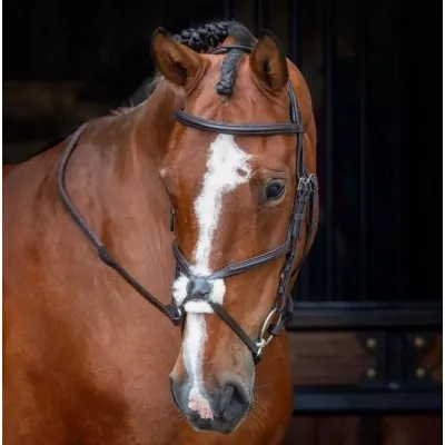 SHIRES Velociti RAPIDA mehhiko kapsliga valjad | Ratsmetega