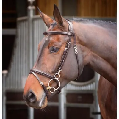 SHIRES Velociti RAPIDA treening valjad | Parim treeninguks