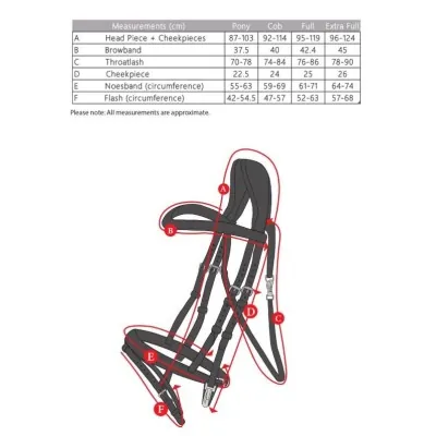 SHIRES Velociti RAPIDA treening valjad | Parim treeninguks