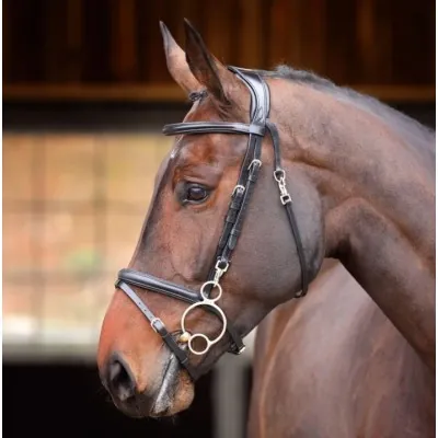 SHIRES Velociti RAPIDA Training Bridle – Comfort & Durability