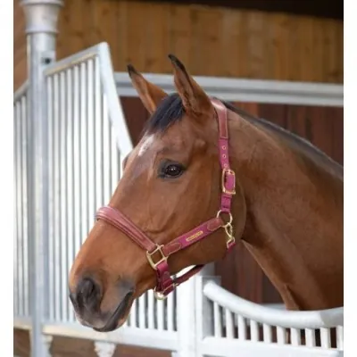 SHIRES Velociti Lusso Nahkpäitsed | Anatoomiline Mugavus