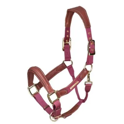 SHIRES Velociti Lusso Nahkpäitsed | Anatoomiline Mugavus