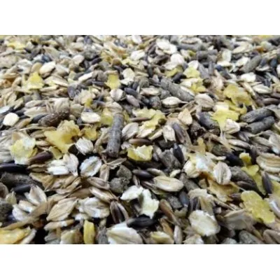 HAVENS Power-Plus Mix müsli 20 kg – Energia sporthobusele