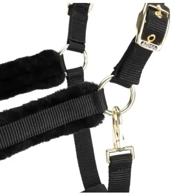 ARMA Logo päitsed & jalutusnöör | Stiilne ja mugav