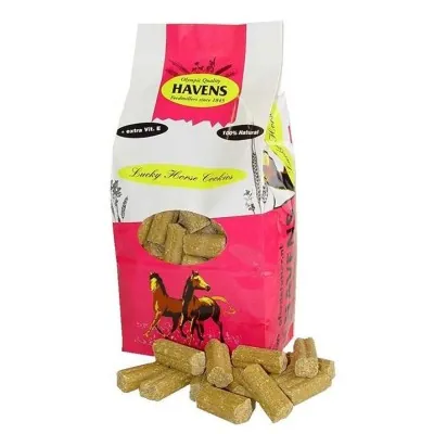HAVENS Lucky Horse maiused 1kg – Healthy Horse Treats 1kg