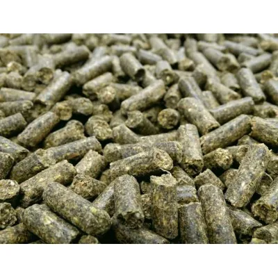 HAVENS Gastro Plus graanulid 20kg – Tugi hobuse maole