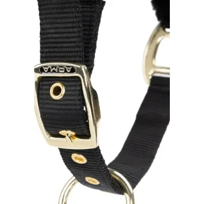 ARMA Logo päitsed & jalutusnöör | Stiilne ja mugav