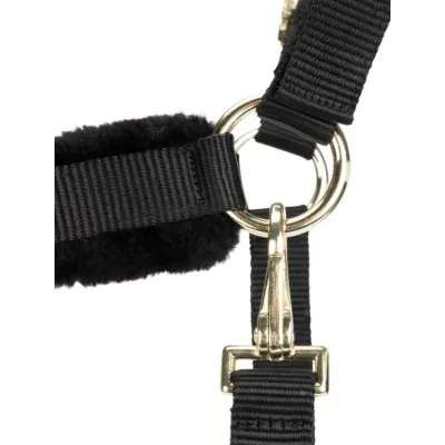 ARMA Logo päitsed & jalutusnöör | Stiilne ja mugav