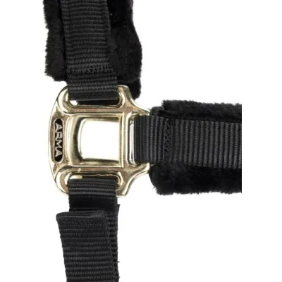 ARMA Logo päitsed & jalutusnöör | Stiilne ja mugav