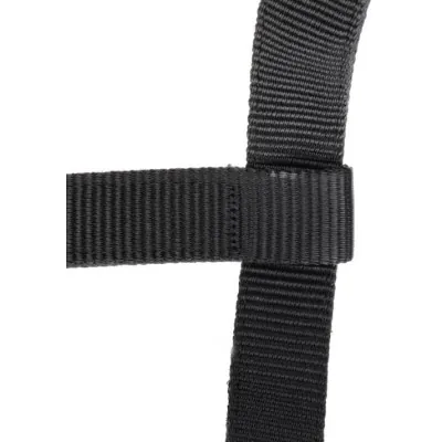 ARMA Logo päitsed & jalutusnöör | Stiilne ja mugav