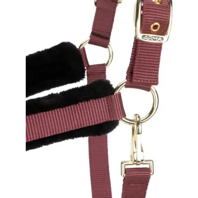 ARMA Logo päitsed & jalutusnöör | Stiilne ja mugav