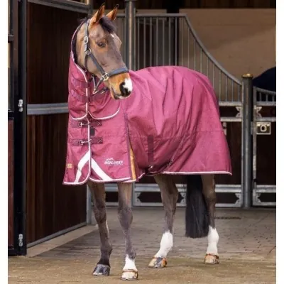 SHIRES Highlander Plus 100 Combo Turnout Rug | 100g 1200D