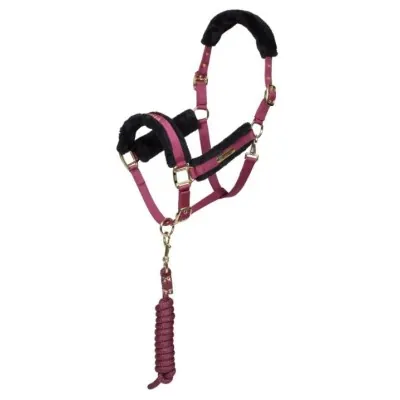 ARMA Logo päitsed & jalutusnöör | Stiilne ja mugav