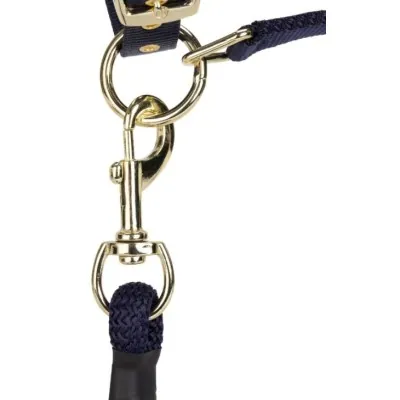 ARMA Logo päitsed & jalutusnöör | Stiilne ja mugav