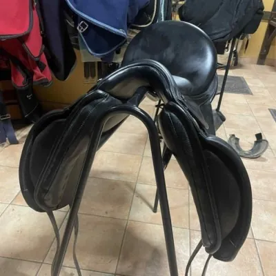 RuizDiaz Calvia sadul, iste 17.5,