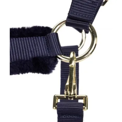 ARMA Logo päitsed & jalutusnöör | Stiilne ja mugav