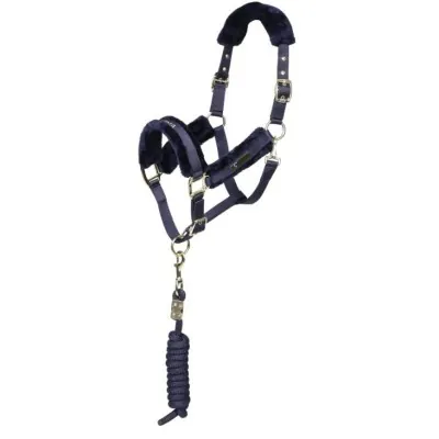 ARMA Logo päitsed & jalutusnöör | Stiilne ja mugav