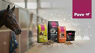 Hobuse söötmine: rohkem kui rutiin, see on teadus ja usaldus